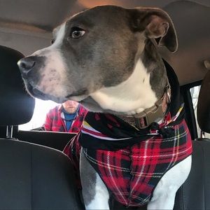 Meet your Posher, Alecia